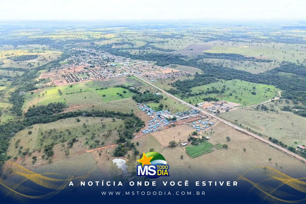 Imagem da Galeria
